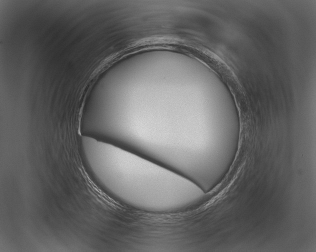 X0000084540929200702230904