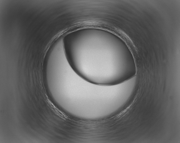 X0000084540930200702230904