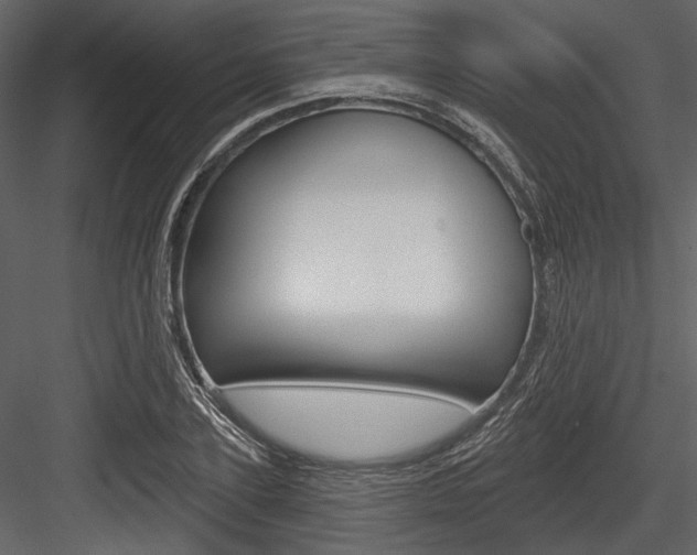 X0000084540931200702230904