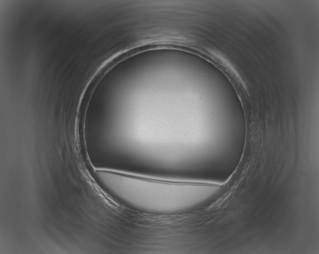 X0000084540932200702230904