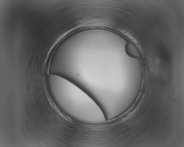 X0000084540933200702230904