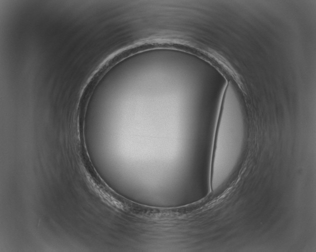 X0000084540934200702230904