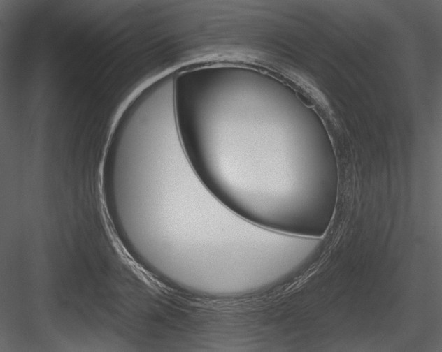 X0000084540936200702230904