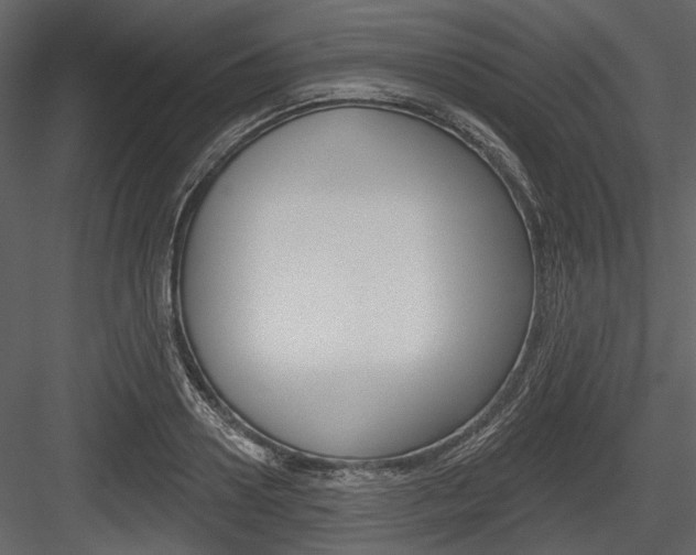 X0000084540938200702230904