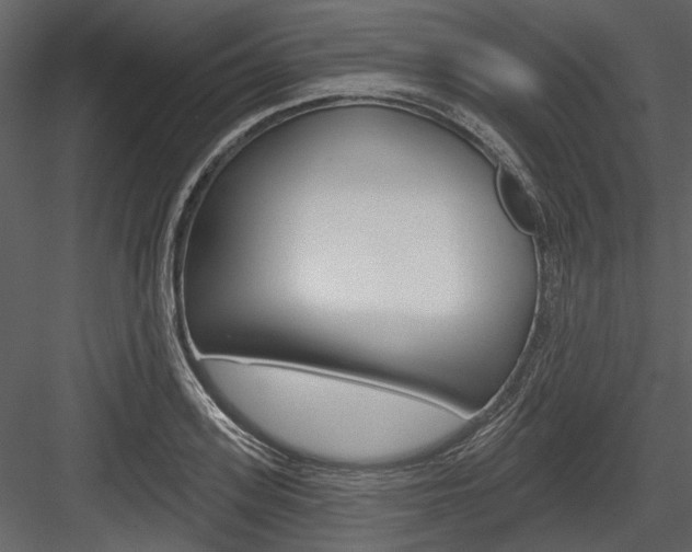 X0000084540939200702230904