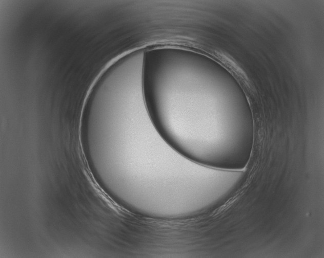 X0000084540940200702230905