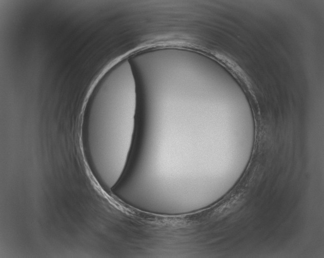 X0000084540941200702230905