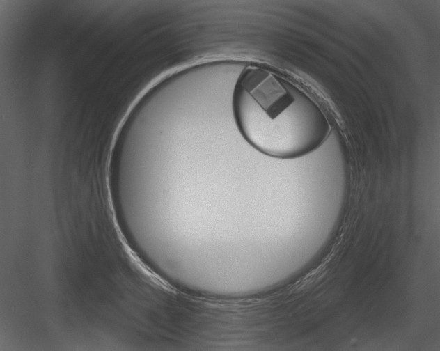 X0000084540942200702230905