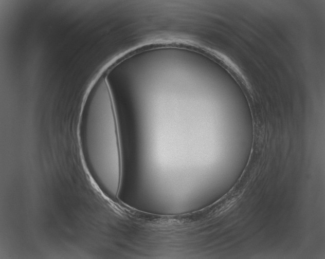 X0000084540943200702230905
