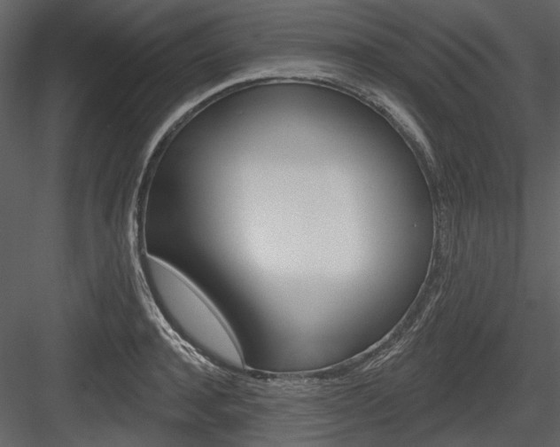 X0000084540944200702230905