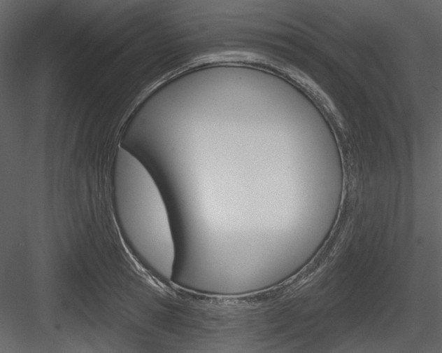 X0000084540945200702230905