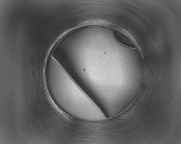 X0000084540947200702230905