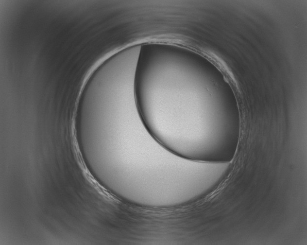 X0000084540952200702230905