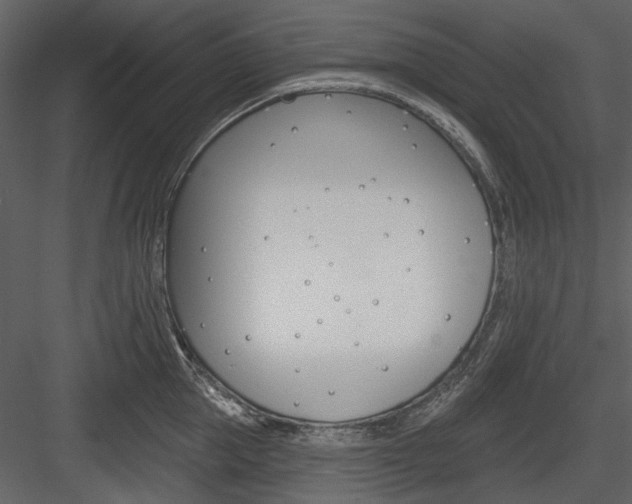 X0000084540953200702230905