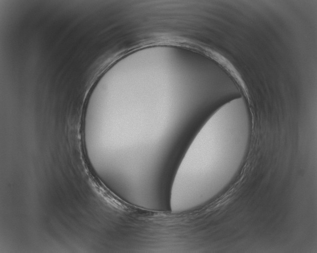 X0000084540954200702230905