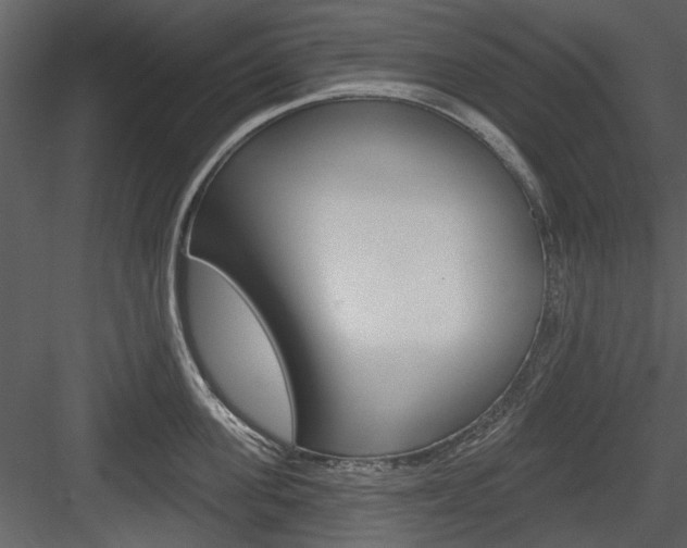 X0000084540955200702230905