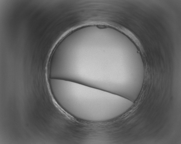 X0000084540958200702230905