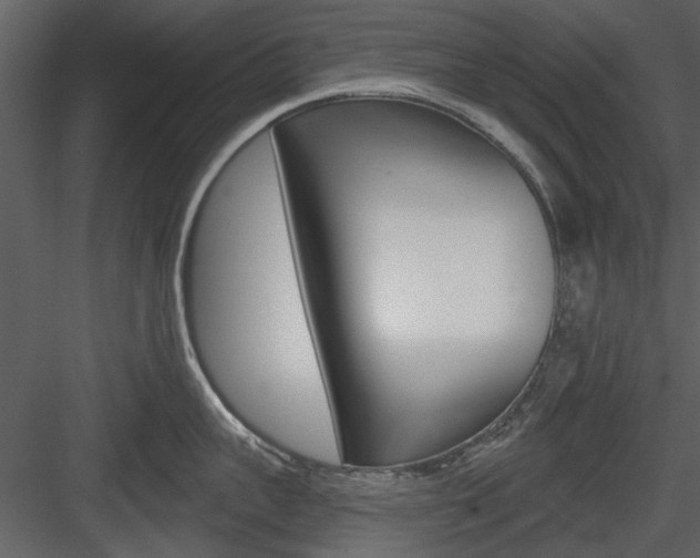 X0000084540959200702230905