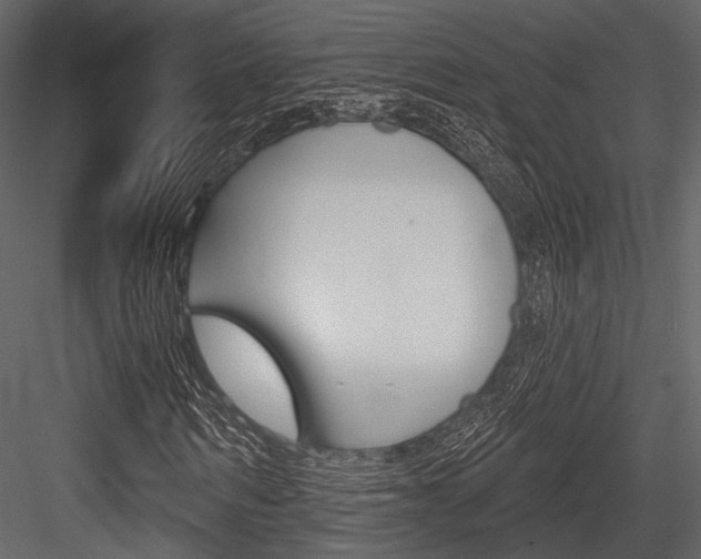 X0000084540962200702230904