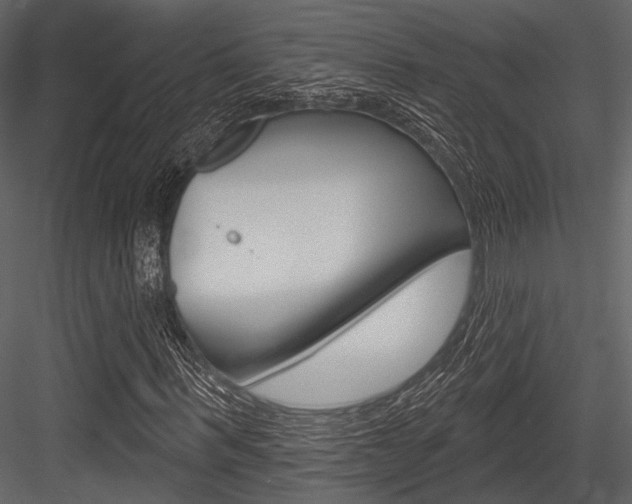 X0000084540963200702230904