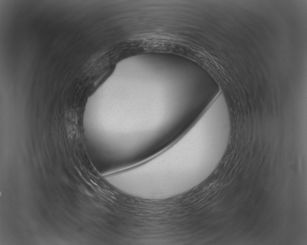 X0000084540964200702230904