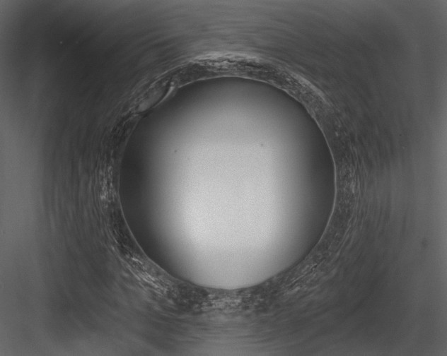 X0000084540965200702230904