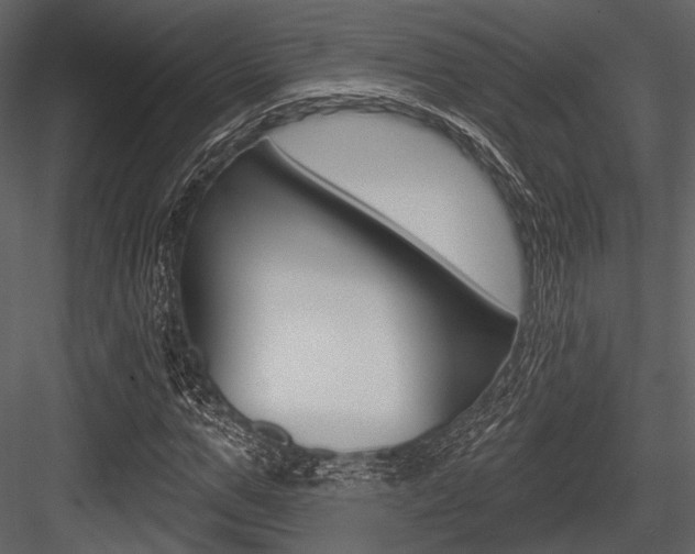 X0000084540967200702230904