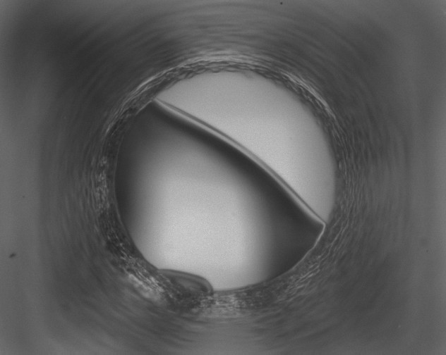 X0000084540968200702230904