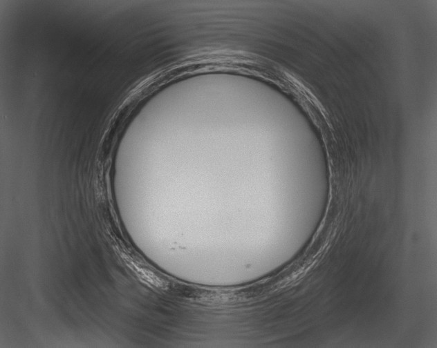 X0000084540970200702230904