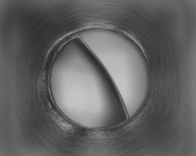 X0000084540971200702230904