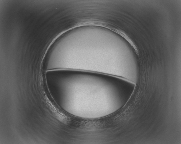 X0000084540972200702230904