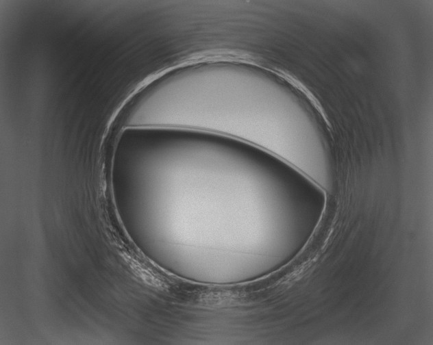 X0000084540973200702230904