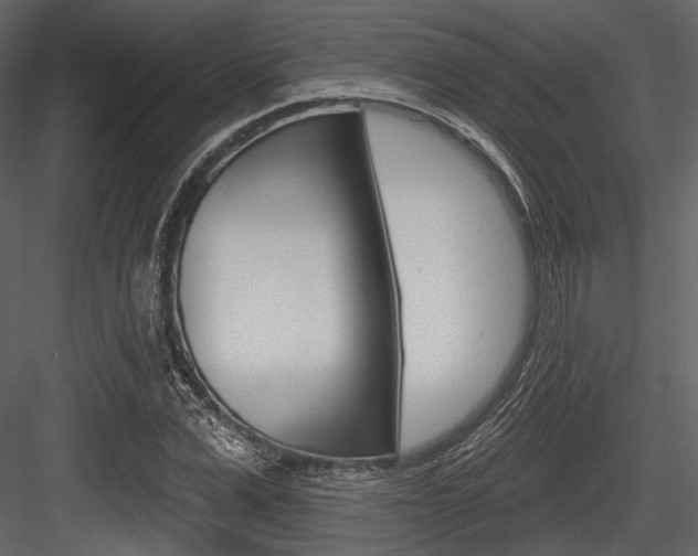 X0000084540975200702230904