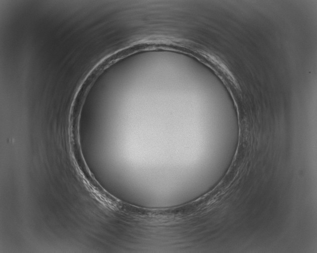X0000084540976200702230904