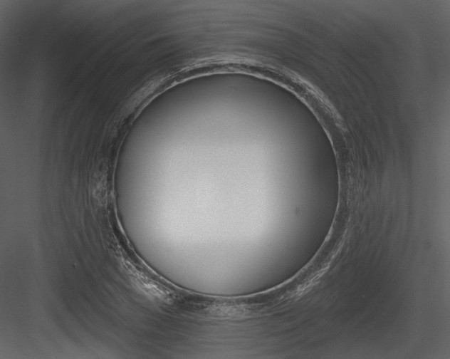 X0000084540977200702230904