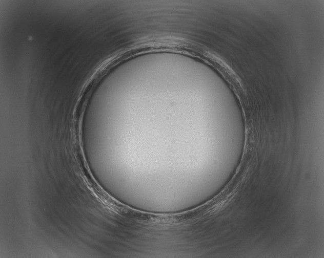 X0000084540978200702230904