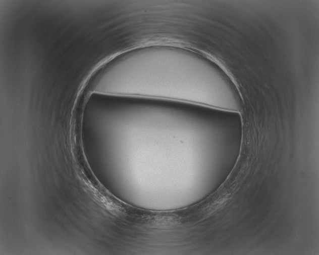 X0000084540979200702230904