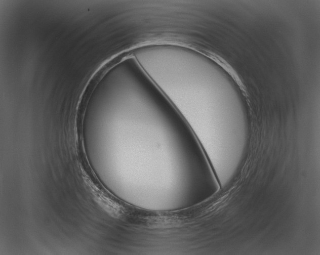 X0000084540980200702230904