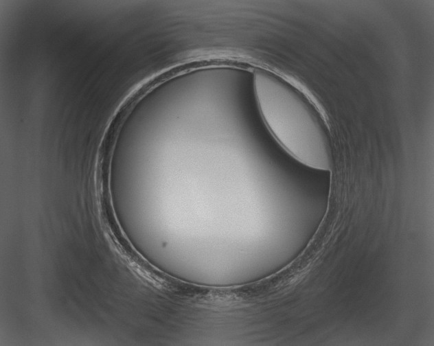 X0000084540983200702230904