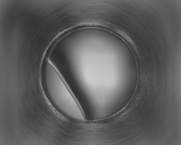 X0000084540984200702230904