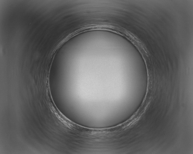 X0000084540985200702230904
