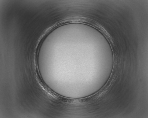 X0000084540986200702230904