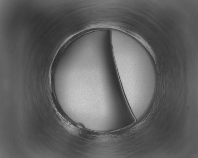 X0000084540988200702230904