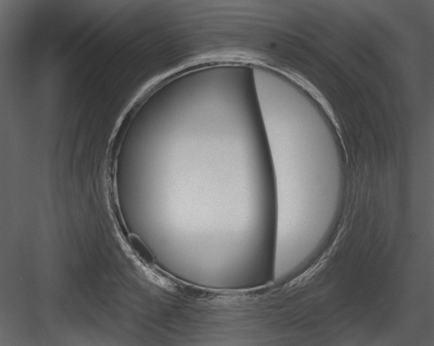 X0000084540989200702230904