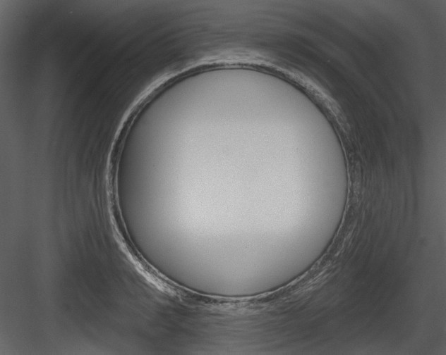 X0000084540990200702230904
