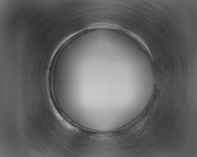 X0000084540995200702230903