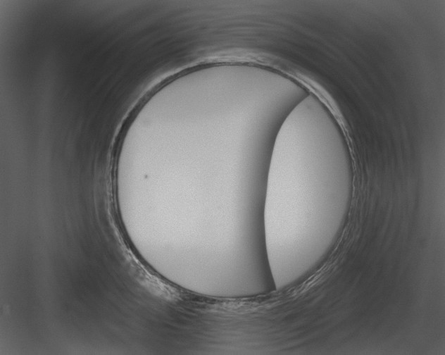 X0000084541000200702230903