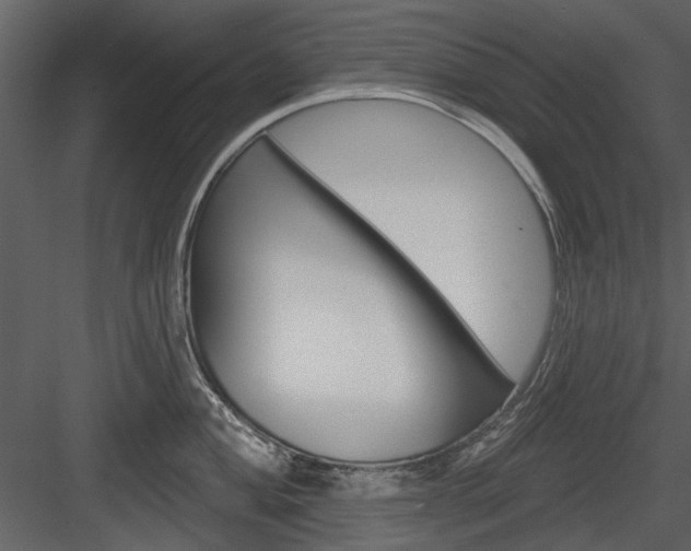 X0000084541004200702230903