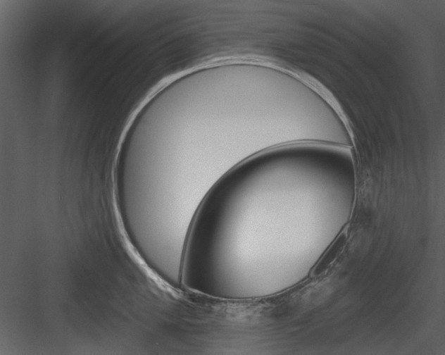X0000084541005200702230903