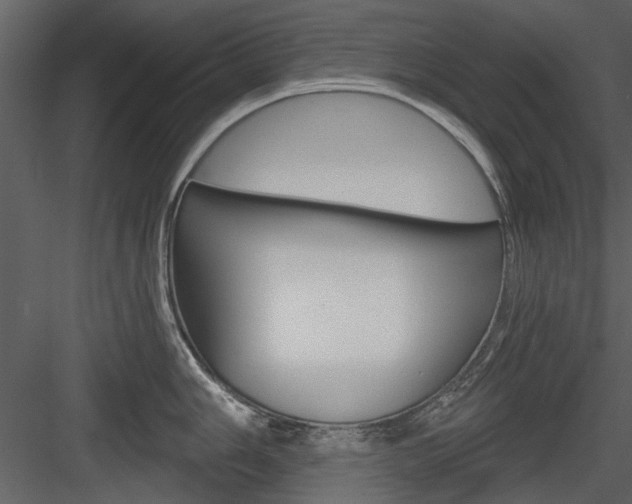 X0000084541006200702230903